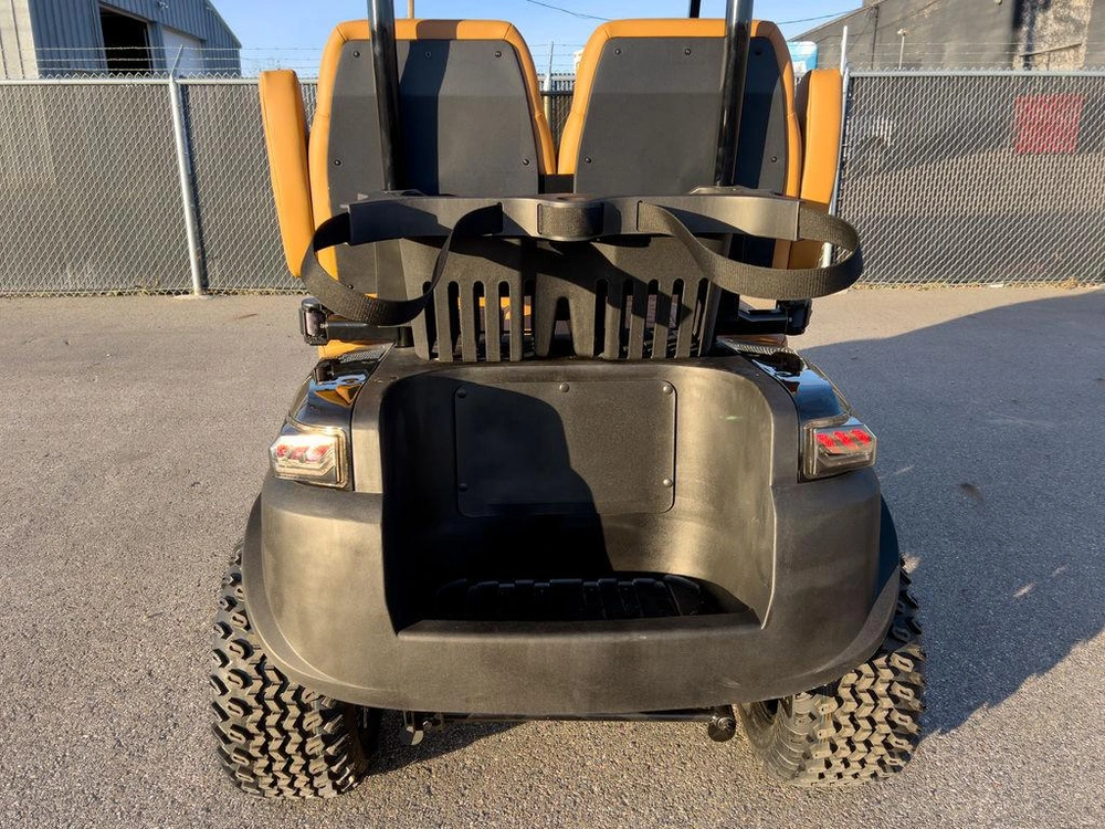 2025 Buzz G2 Lifted alt