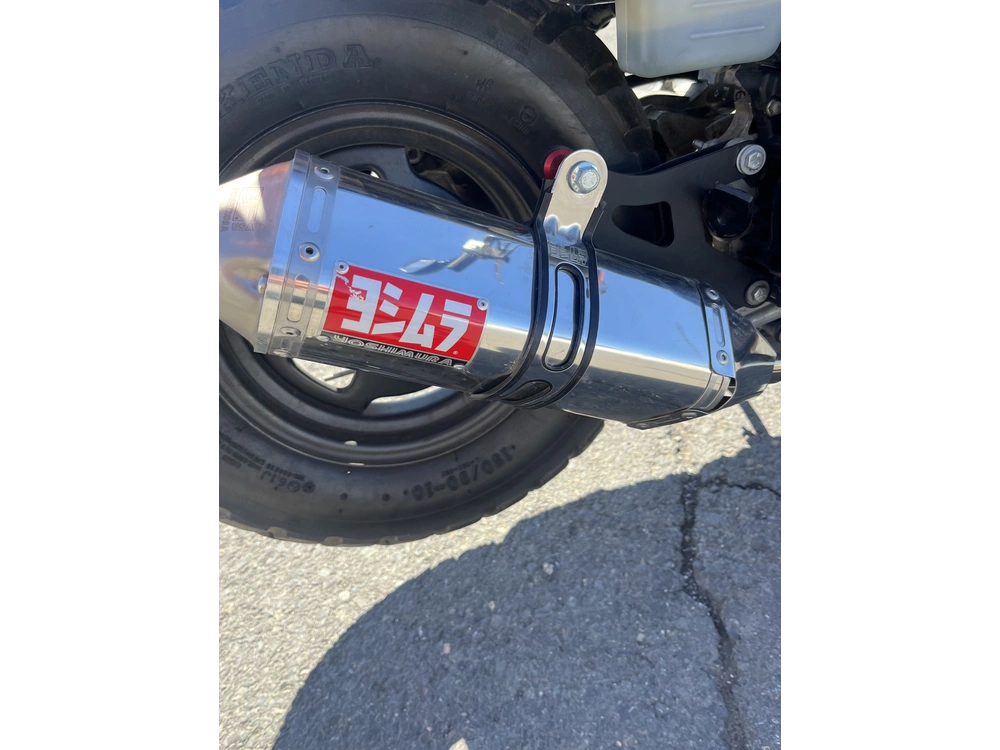 Honda Ruckus 2022 alt