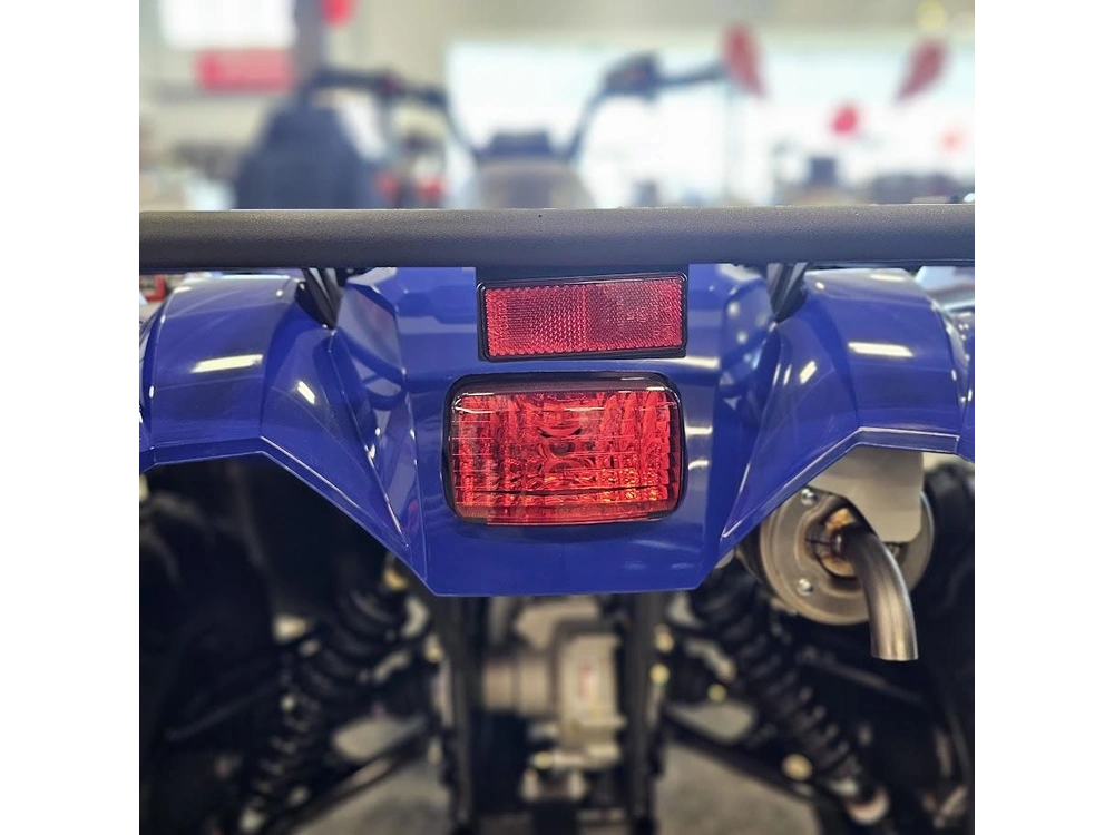 2026 Yamaha Kodiak 450 alt