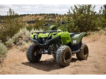 Yamaha Grizzly 110 2026 alt