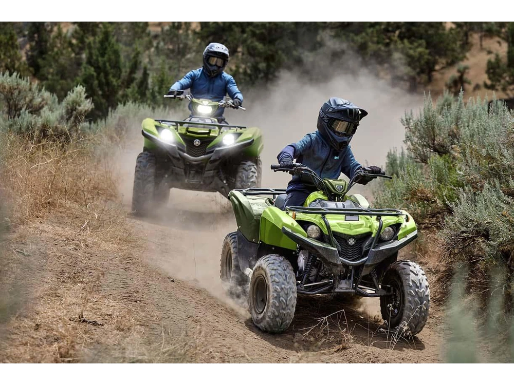 Yamaha Grizzly 110 2026 alt