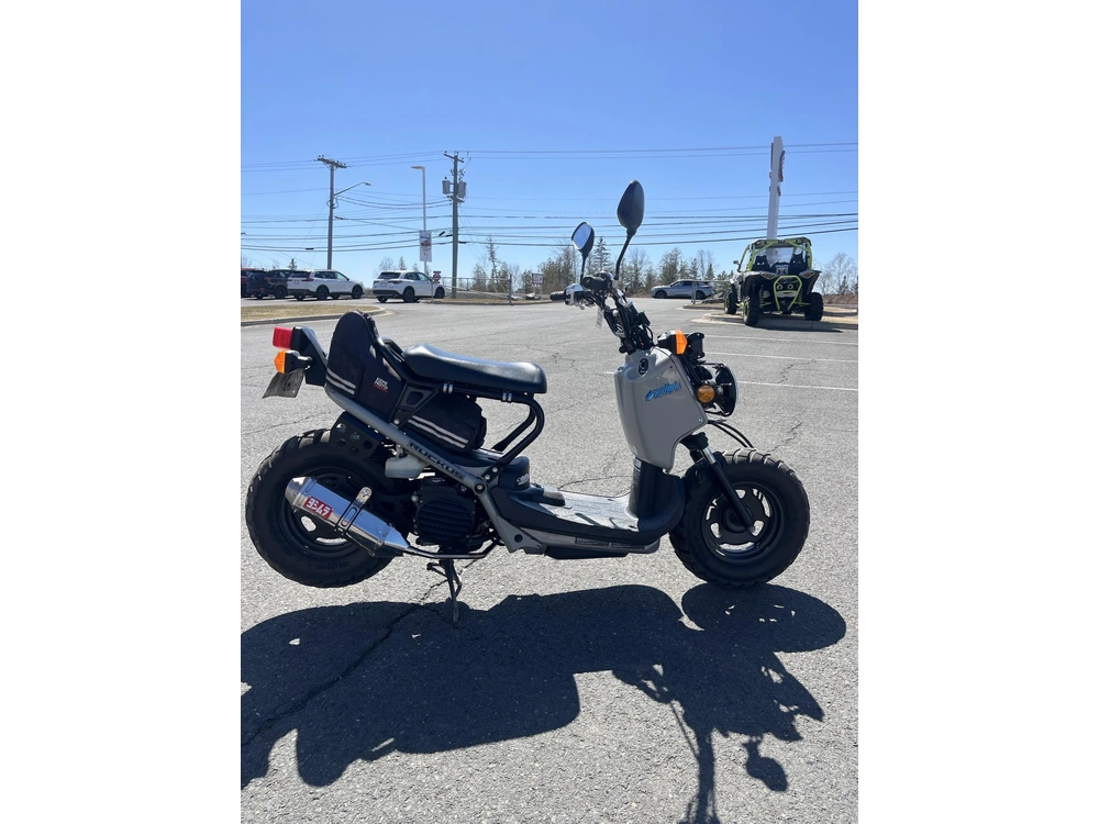 Honda Ruckus 2022 alt