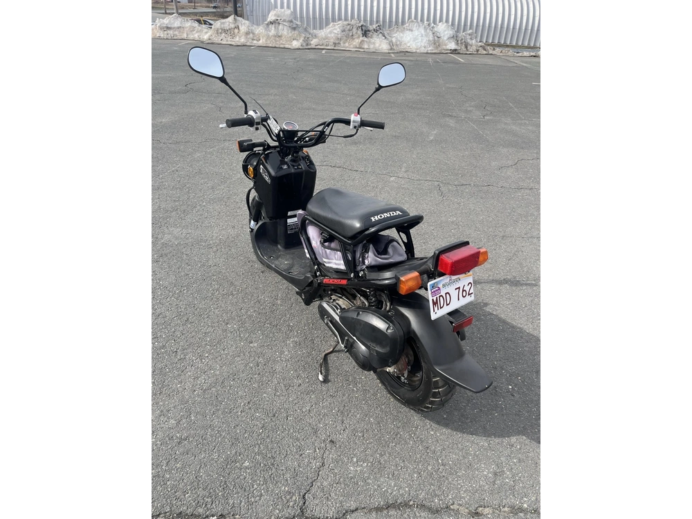 Honda Ruckus 2019 alt