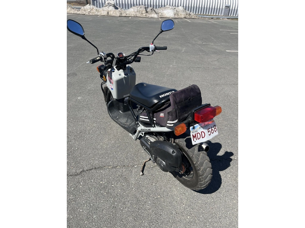 Honda Ruckus 2022 alt