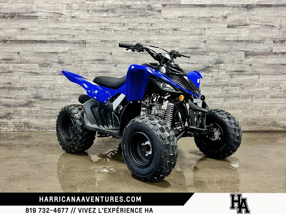2026 Yamaha Raptor 110 alt