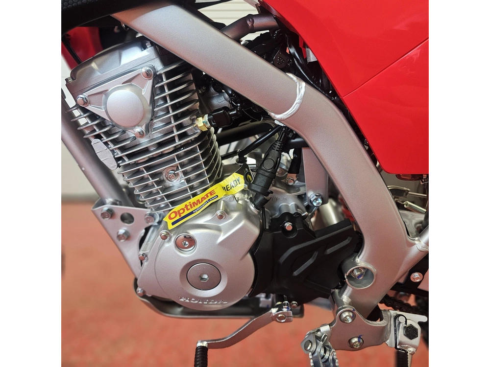 2026 Honda Crf 125f (big Wheel) alt