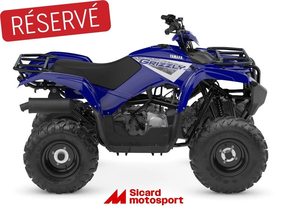 Yamaha Grizzly 110 2025 alt