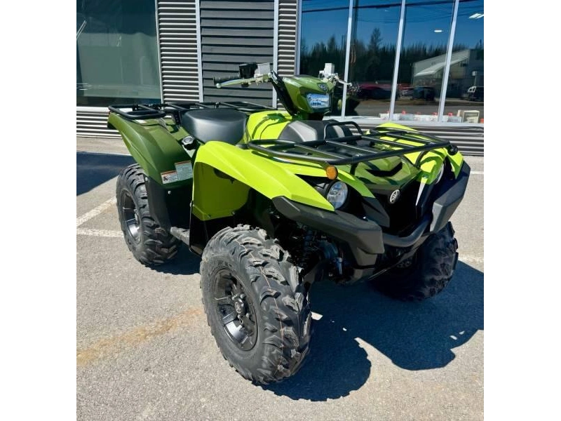 Yamaha Grizzly Dae 2026 alt