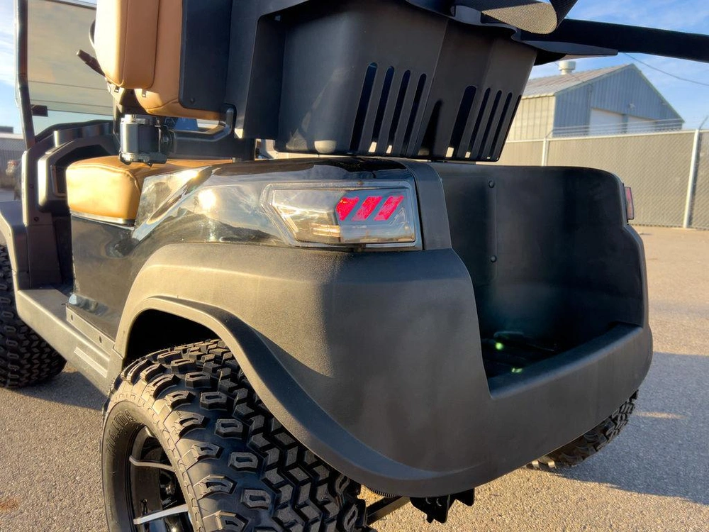 2025 Buzz G2 Lifted alt