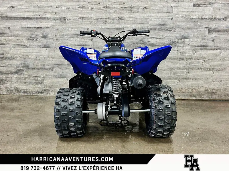 Yamaha RAPTOR 110 2026