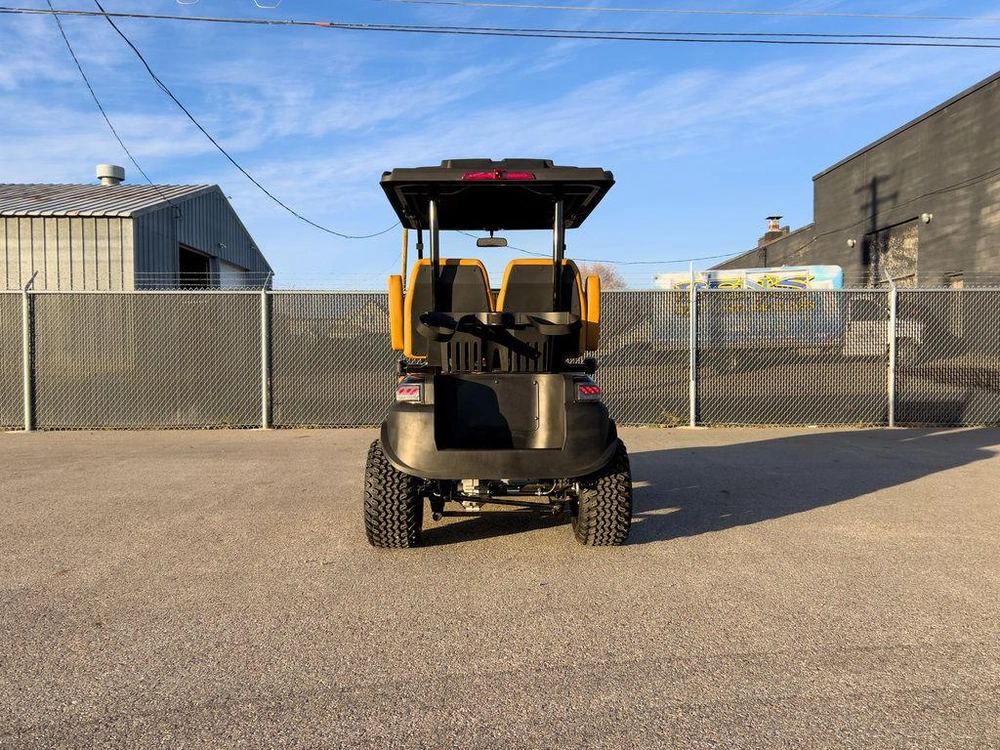 2025 Buzz G2 Lifted alt