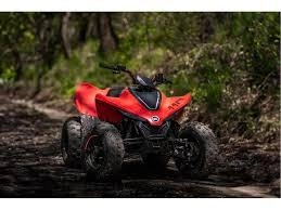 Cfmoto Cforce 110 Classic 2026 alt