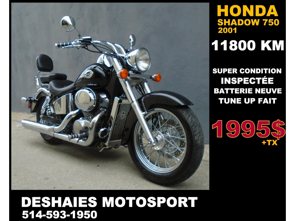 2001 Honda Shadow 750 alt
