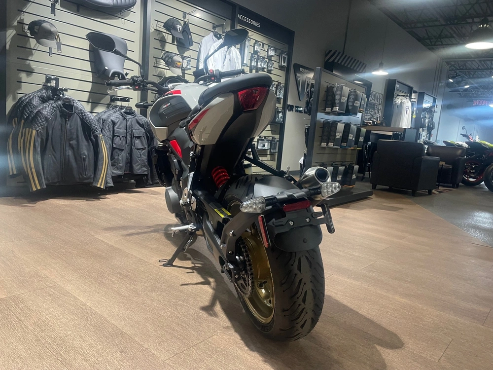 2026 Triumph Trident 800 - Ash Grey alt