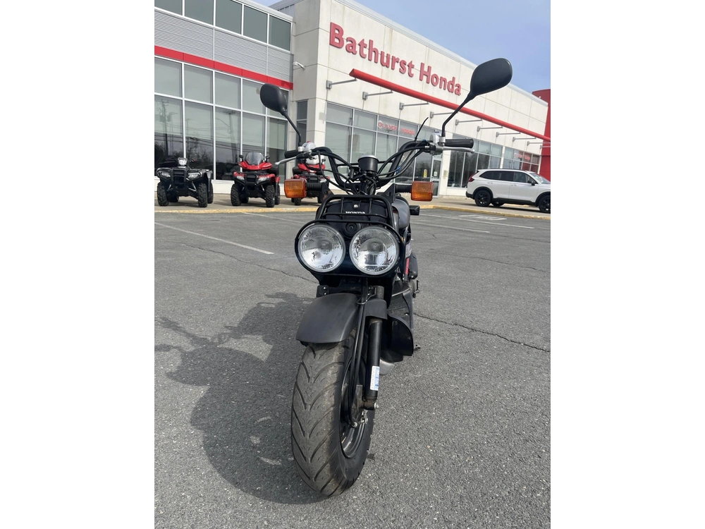 Honda Ruckus 2019 alt