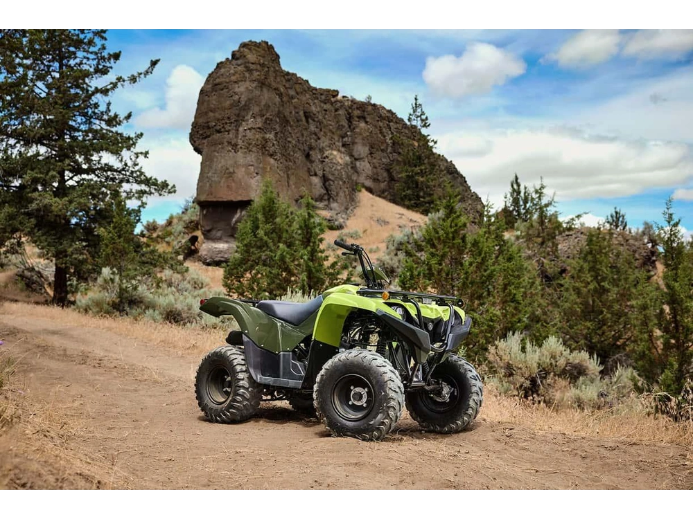 Yamaha Grizzly 110 2026 alt