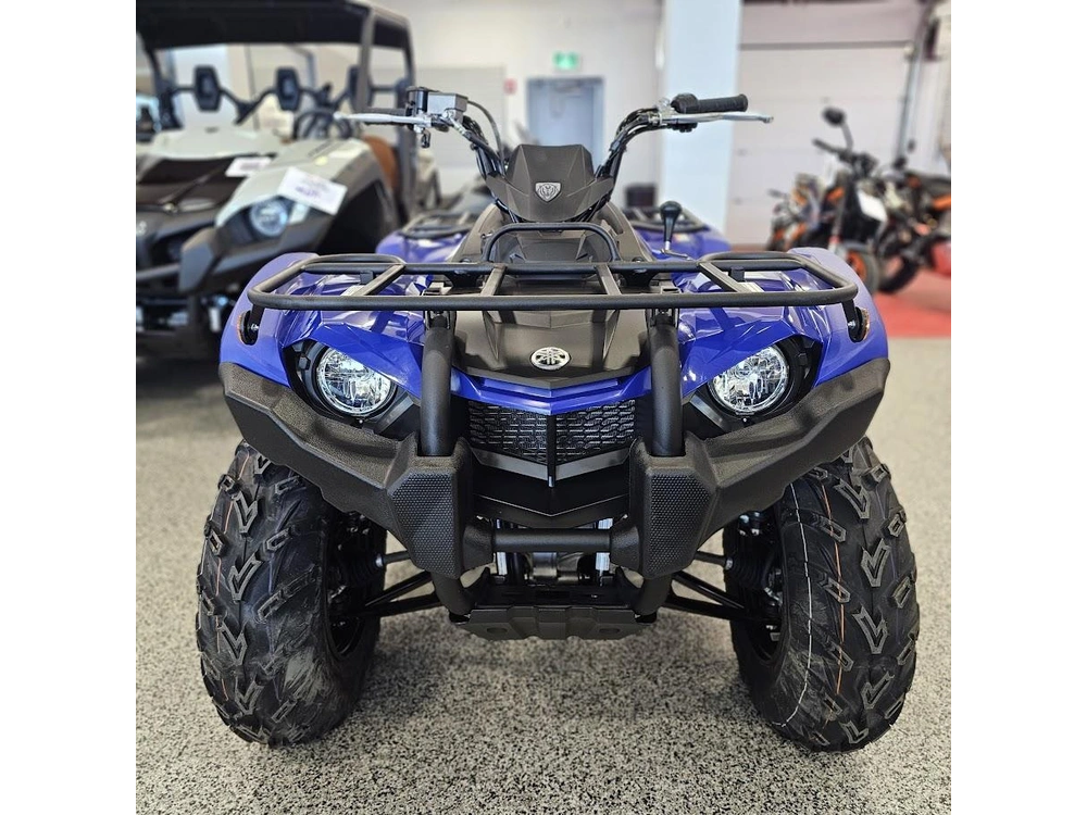 2026 Yamaha Kodiak 450 alt