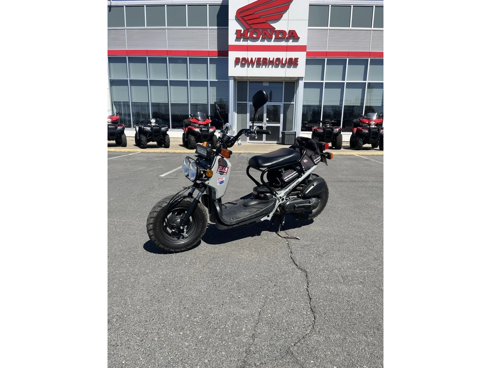 Honda Ruckus 2022 alt