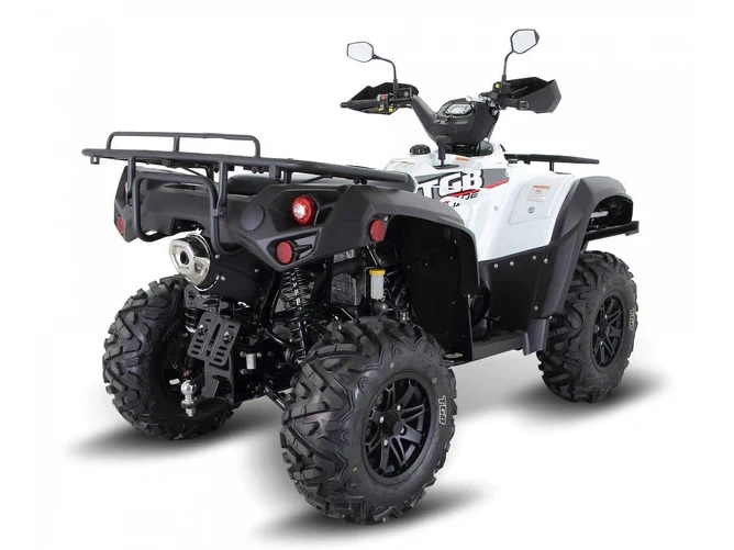 2025 T.g.b. Blade 600 Slx alt