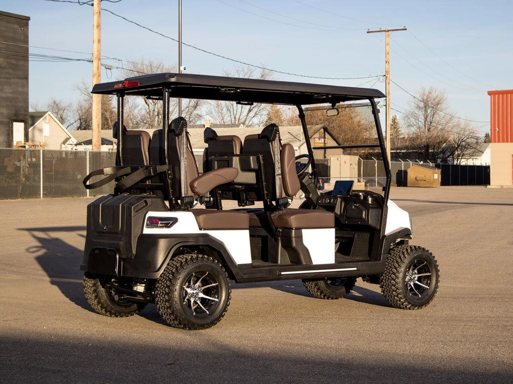 2025 Buzz G4 Lifted alt