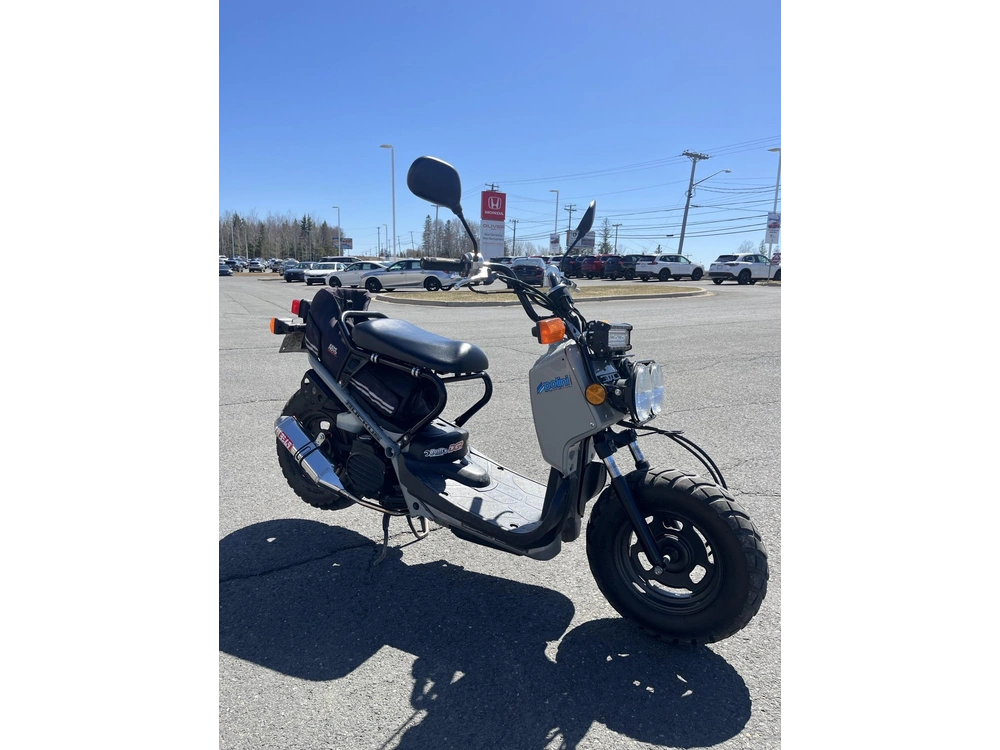 Honda Ruckus 2022 alt