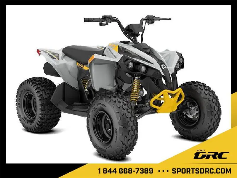 2026 Can-Am Renegade 110 EFI