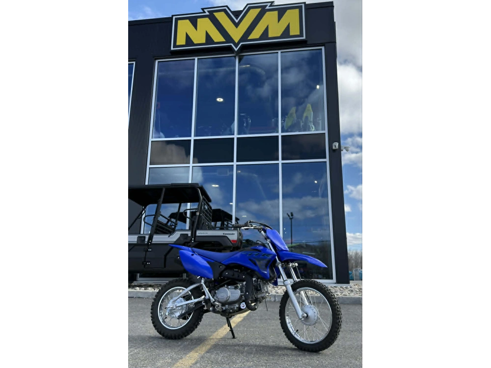 Yamaha Tt-r110e 2024 alt