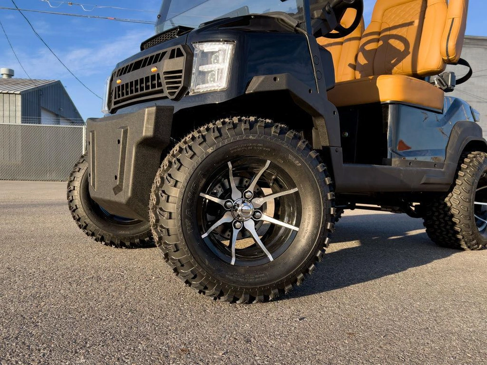 2025 Buzz G2 Lifted alt