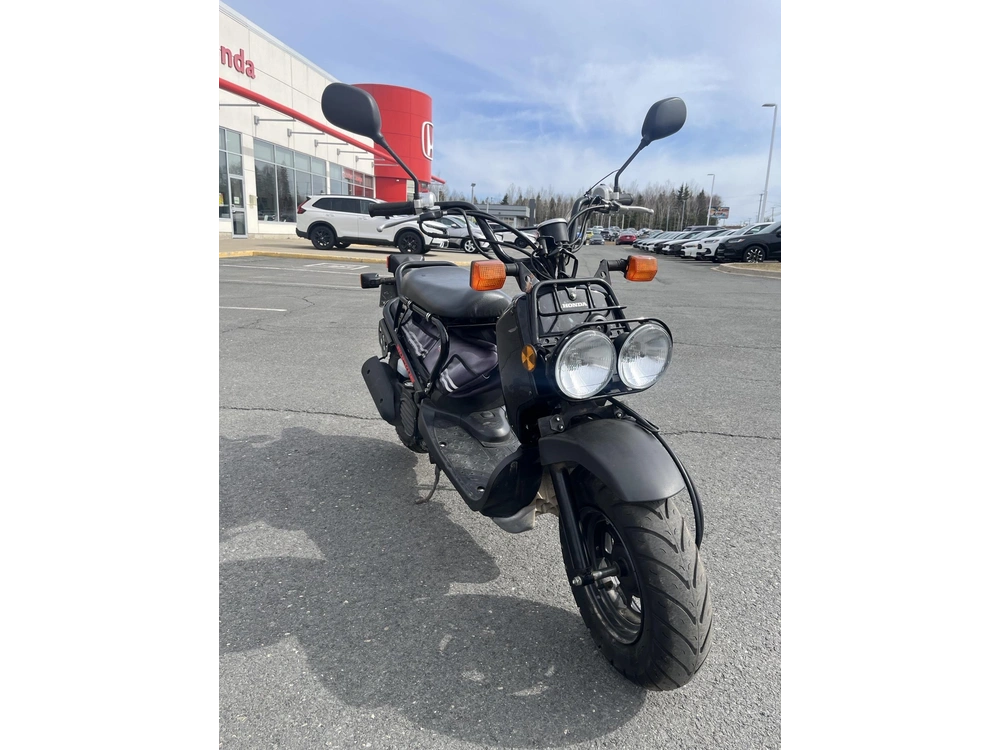 Honda Ruckus 2019 alt