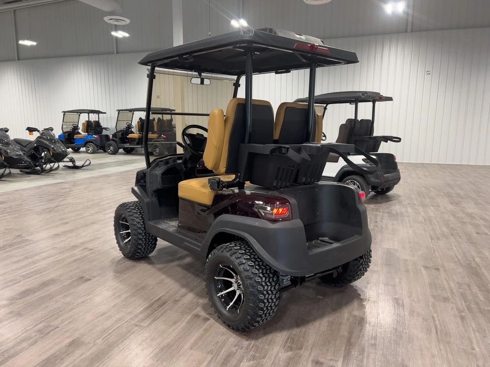 2025 Buzz G2 Lifted alt