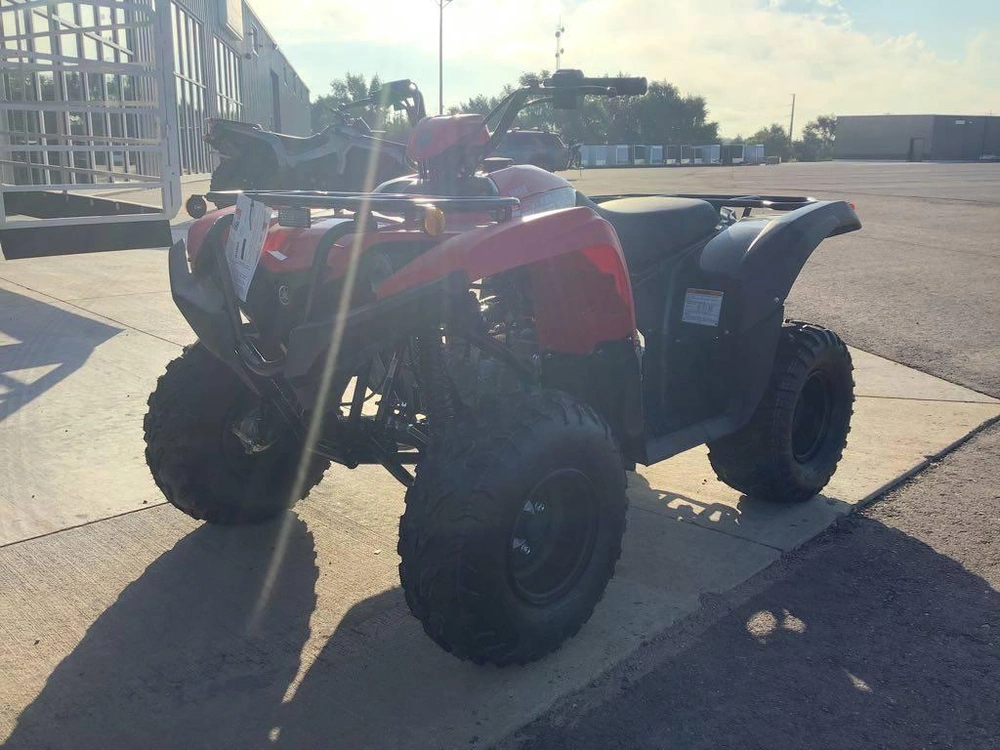 2025 Yamaha Grizzly 110 alt