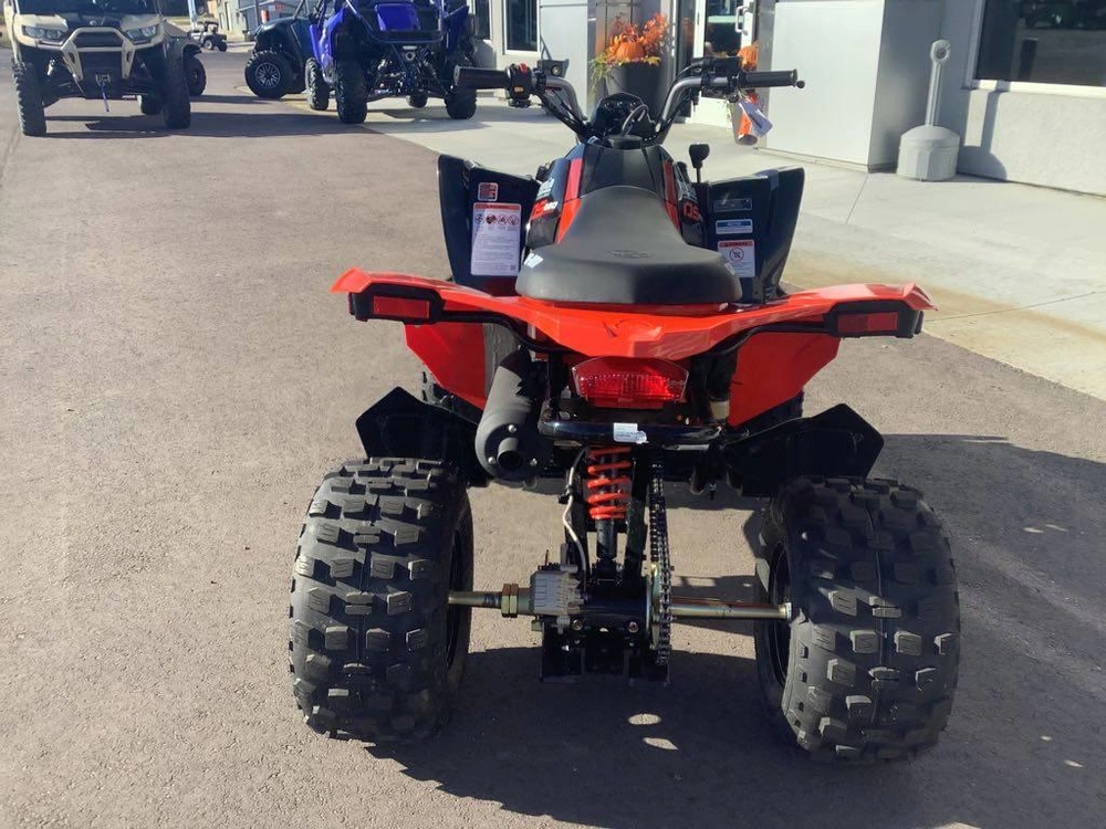 2026 Can-am Ds 250 alt