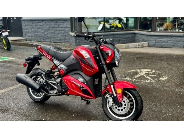 Scootterre Ar-50 2024 alt