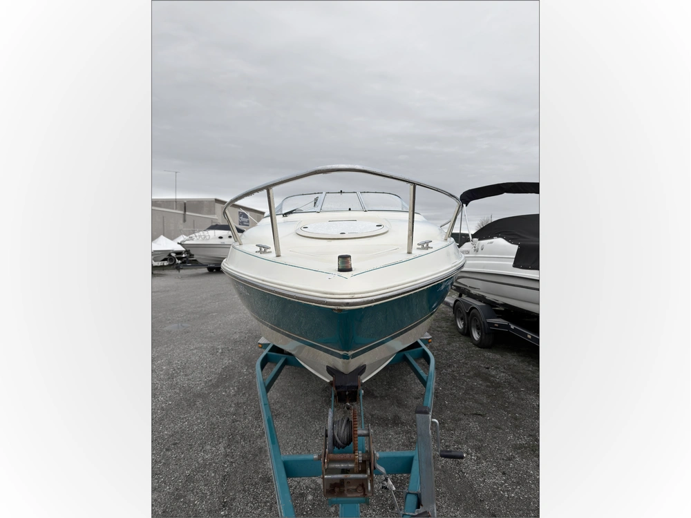 1993 Chris-craft 238 Concept alt