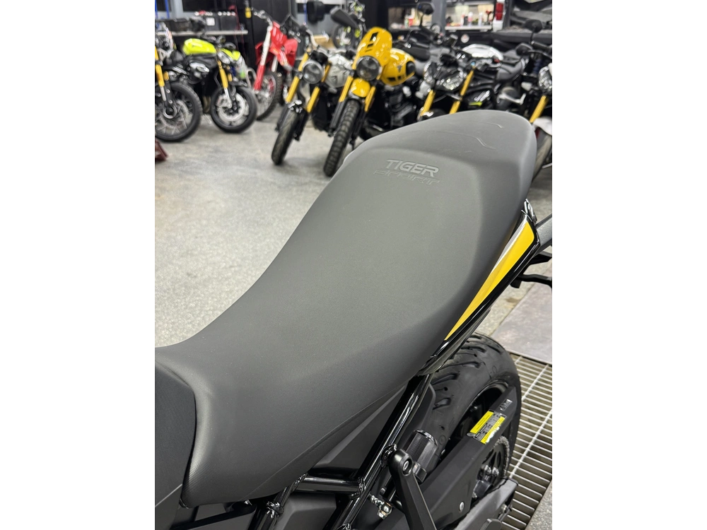 Triumph Tiger Sport 800 2026 alt