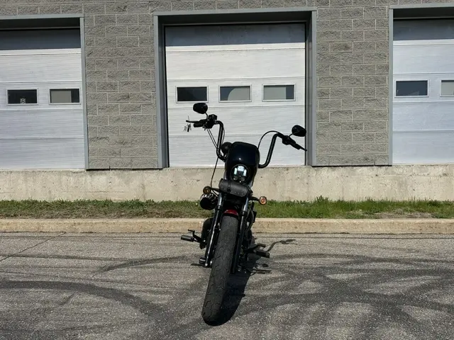 Harley-Davidson Iron 1200XL1200NS 2021