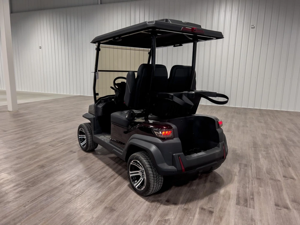 2025 Buzz G2 Standard alt