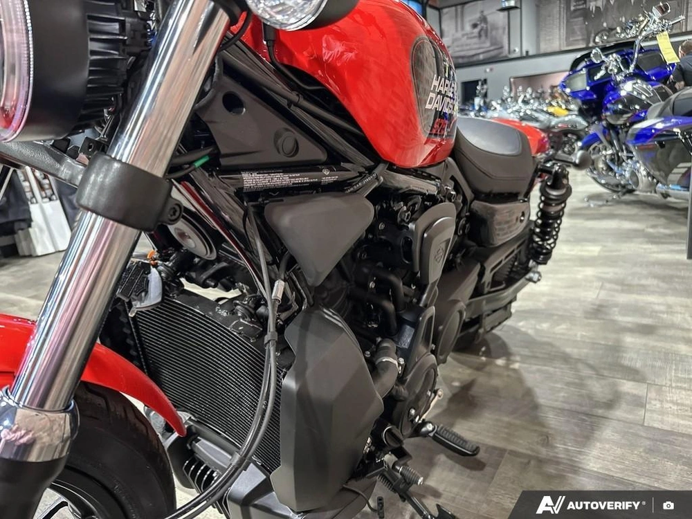 2026 Harley-davidson Nightster alt