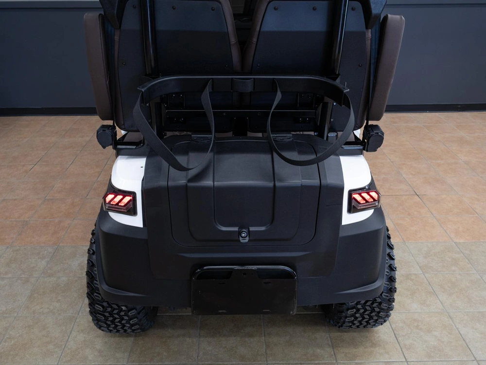 2025 Buzz G4 Standard alt