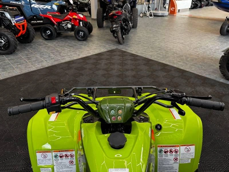 Yamaha Grizzly 110 2026 alt