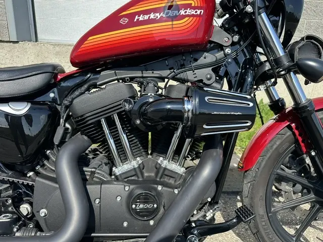 Harley-Davidson Iron 1200XL1200NS 2021
