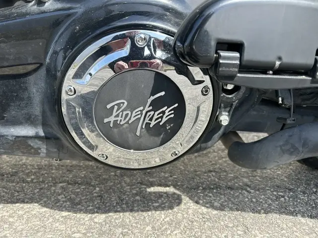 Harley-Davidson FLTRX ROAD GLIDEFLTRX 2020