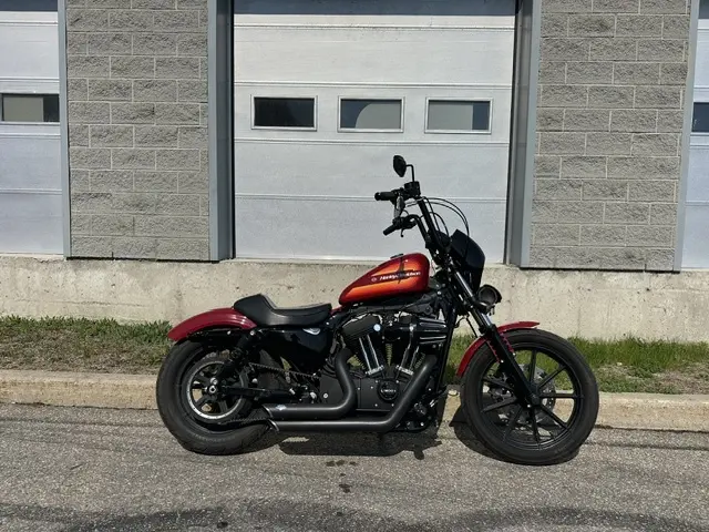 Harley-Davidson Iron 1200XL1200NS 2021