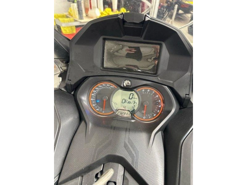 Ski-doo Renegade Enduro E 900 Ace Turb 2019 alt