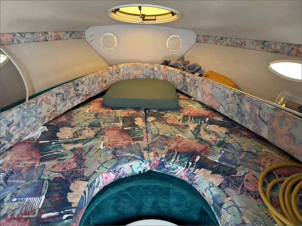 1993 Chris-craft 238 Concept alt