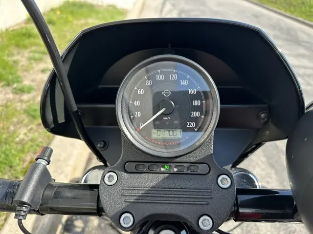 Harley-Davidson Iron 1200XL1200NS 2021