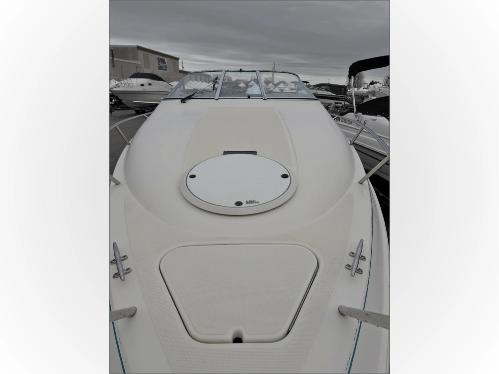1993 Chris-craft 238 Concept alt
