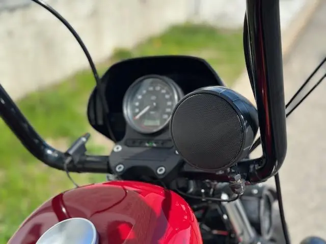 Harley-Davidson Iron 1200XL1200NS 2021