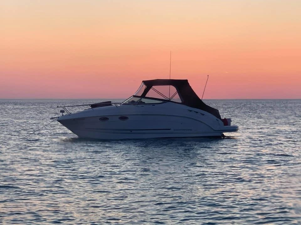 2008 Chaparral Signature 250 alt