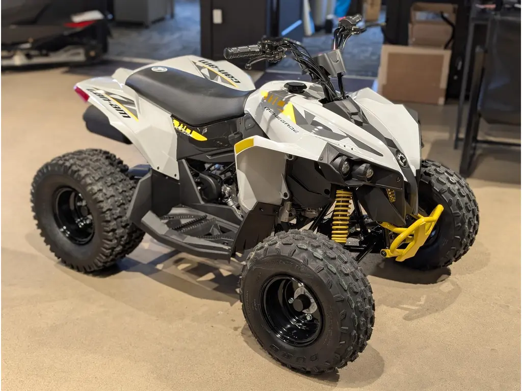 2026 Can-Am Renegade 110 EFI - Catalyst Grey 